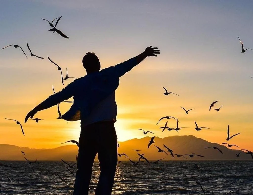 ЦЕНТР ПОМОЩИ
Бесплатно